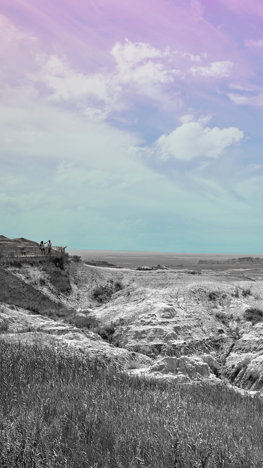 Free Summer Phone and Computer Background. L&S Marketing Blog