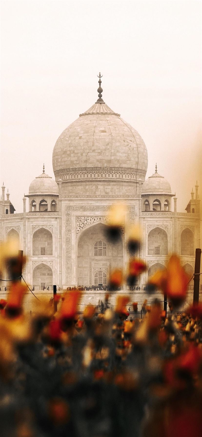 ITAP The Taj Mahal Peeking Through PicOfTheDay iPhone 11 Wallpaper Free Download