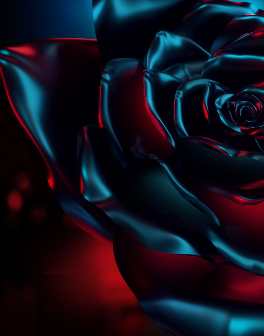 Blue And Red Rose Wallpapers - Wallpaper Cave