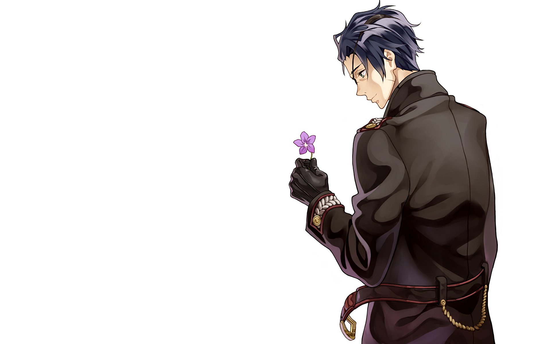 Gilbert Bougainvillea HD Wallpaper and Background