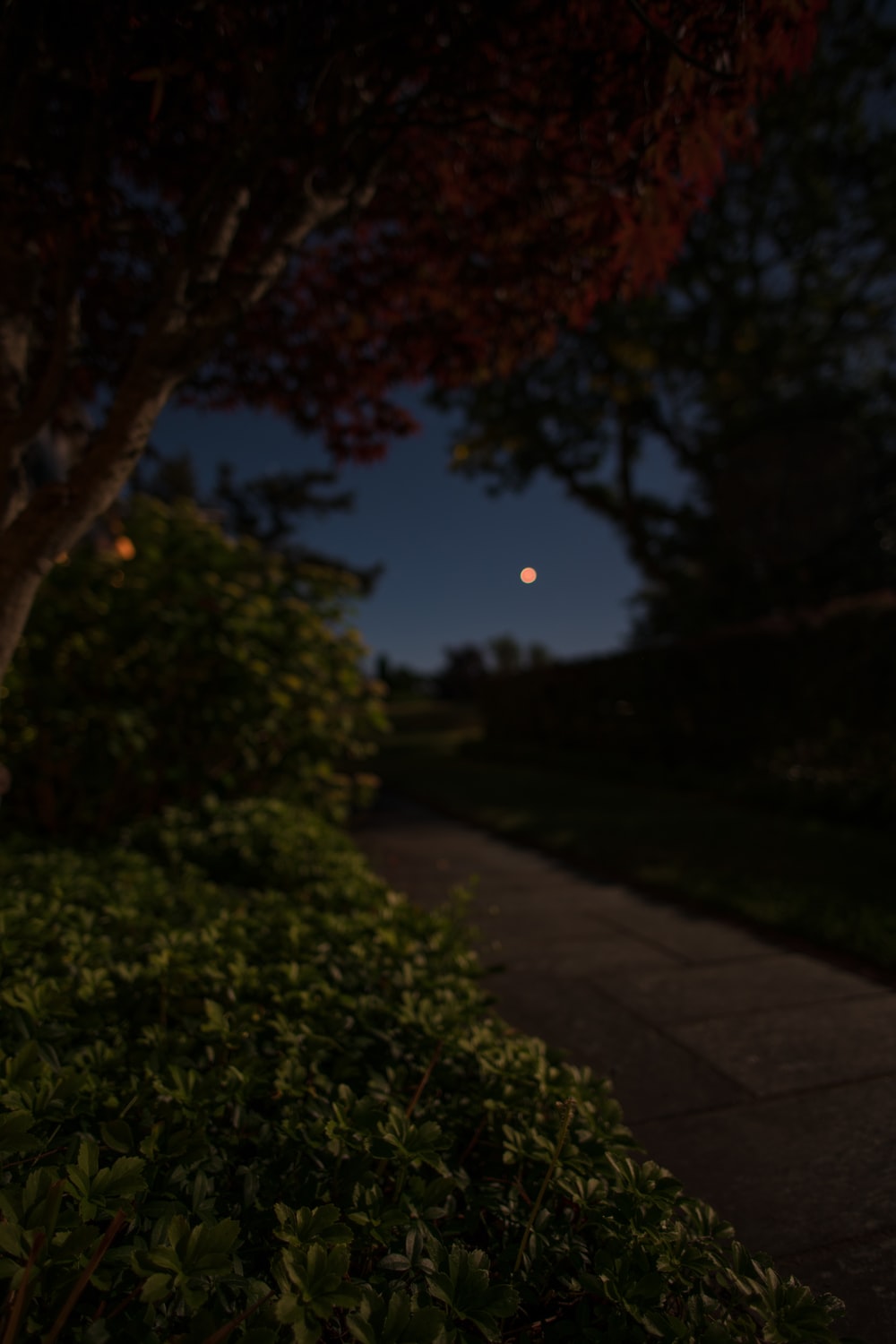 Night Blur Picture. Download Free Image