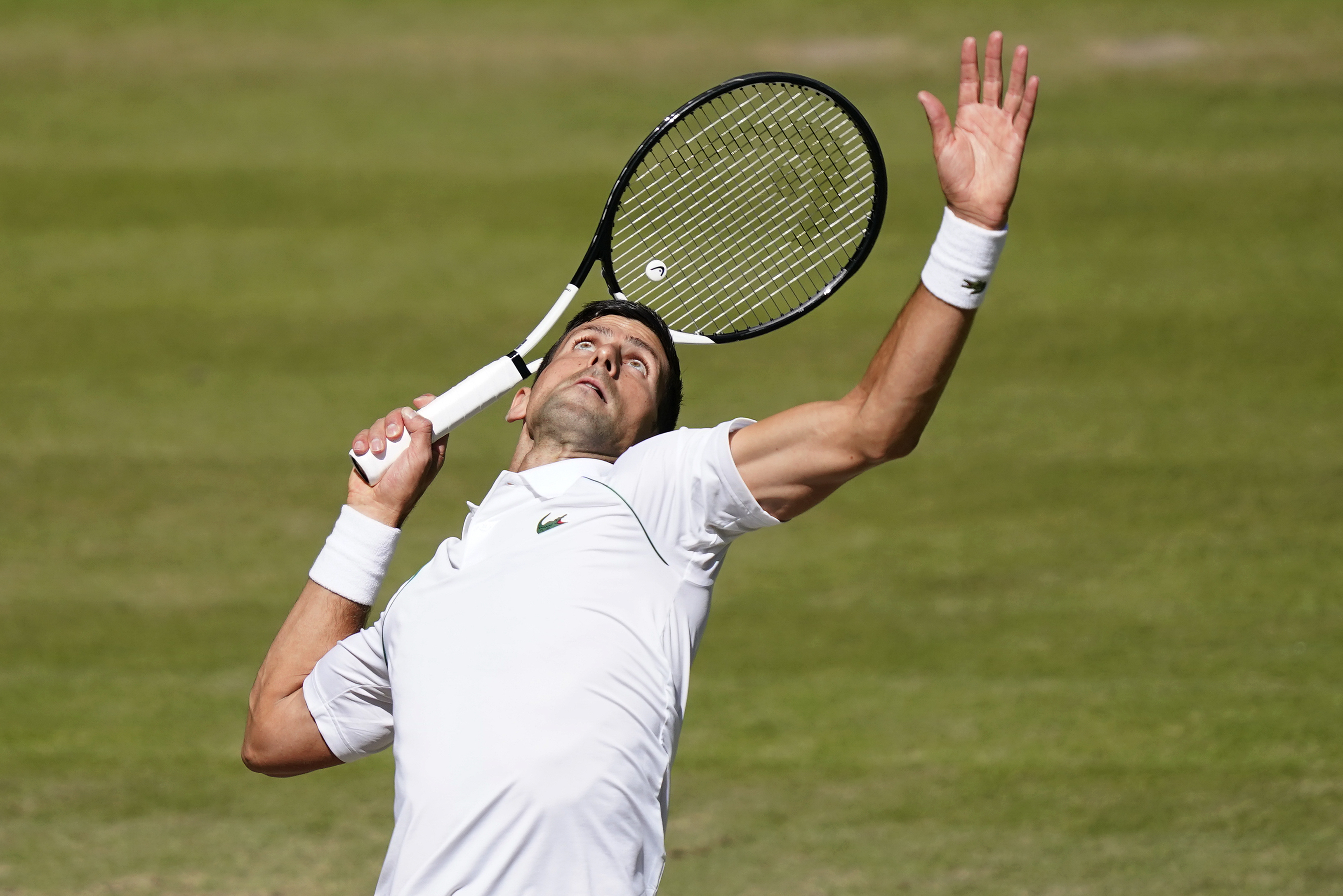 Wimbledon Tennis 2022 Men's Final: Novak Djokovic vs. Nick Kyrgios Predictions