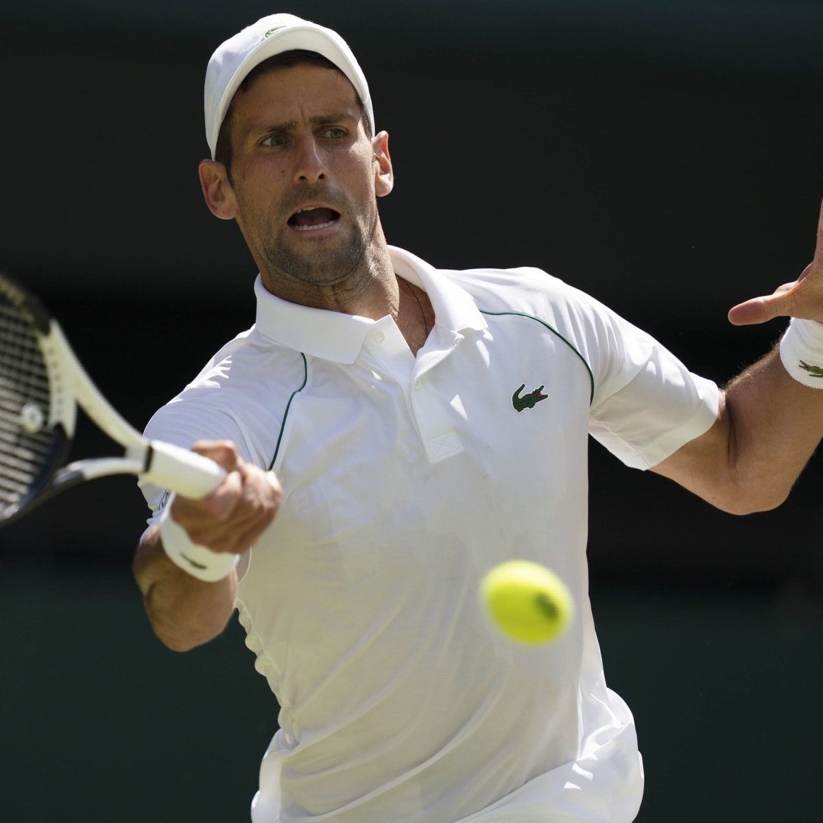 Novak Djokovic Tops Nick Kyrgios for Fourth Straight Wimbledon Championship