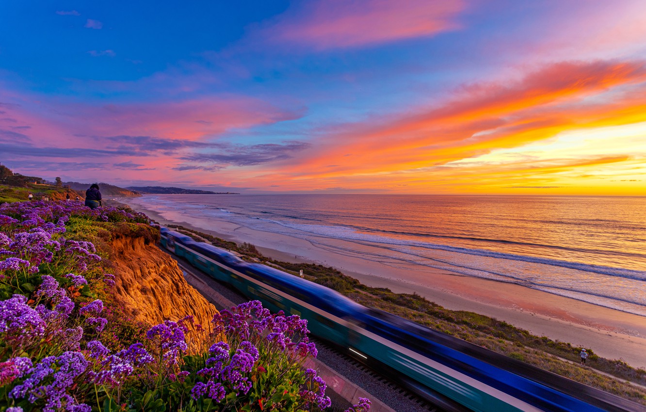 Wallpaper sunset, flowers, the ocean, coast, CA, Pacific Ocean, California, The Pacific ocean, Del Mar, The Sea image for desktop, section пейзажи