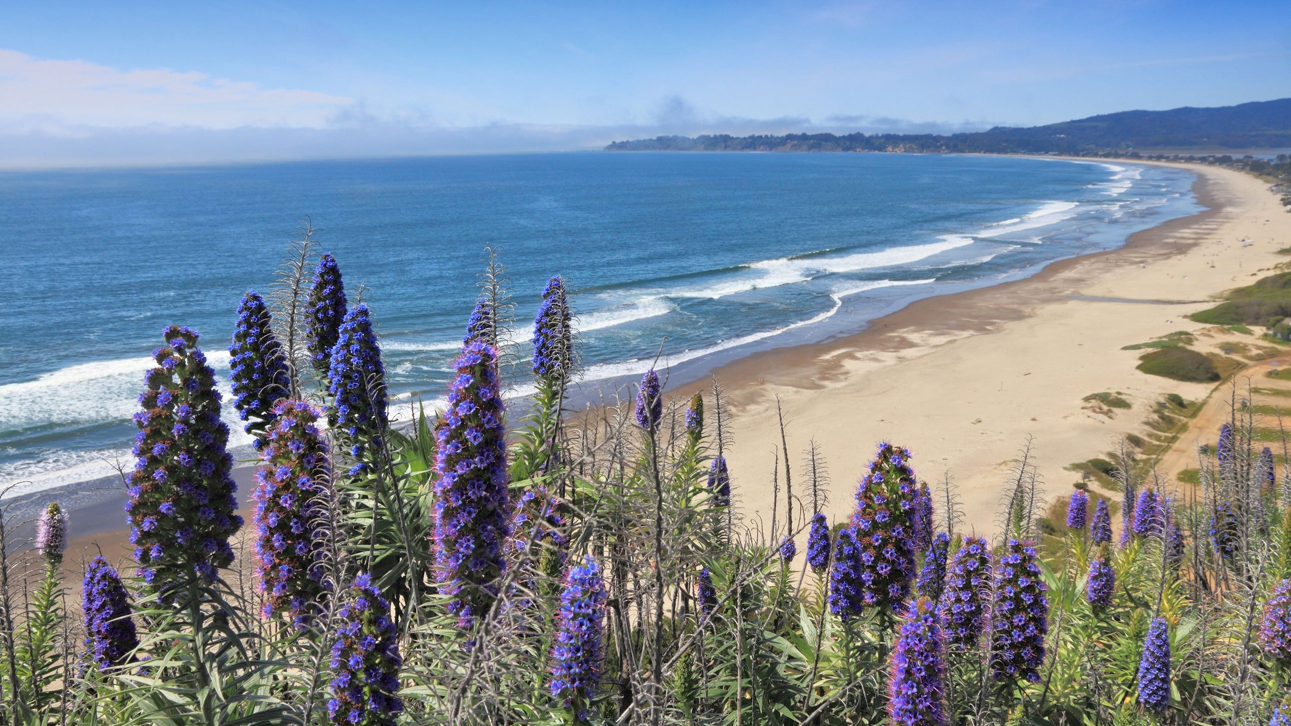 Best Beaches In California, From Surfer Friendly To Cliffside Views. Condé Nast Traveler