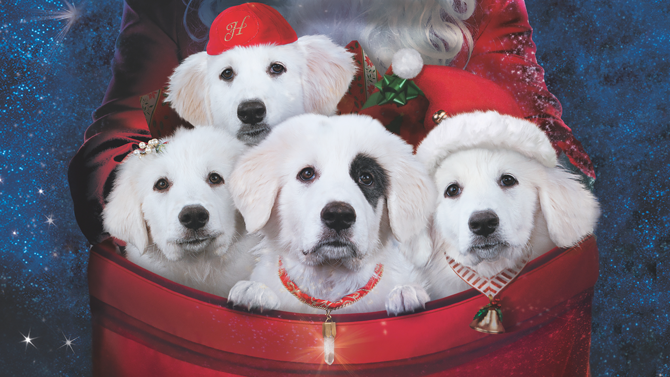 Santa Paws 2: The Santa Pups