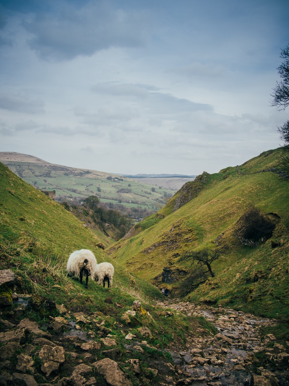 Derbyshire Picture. Download Free Image