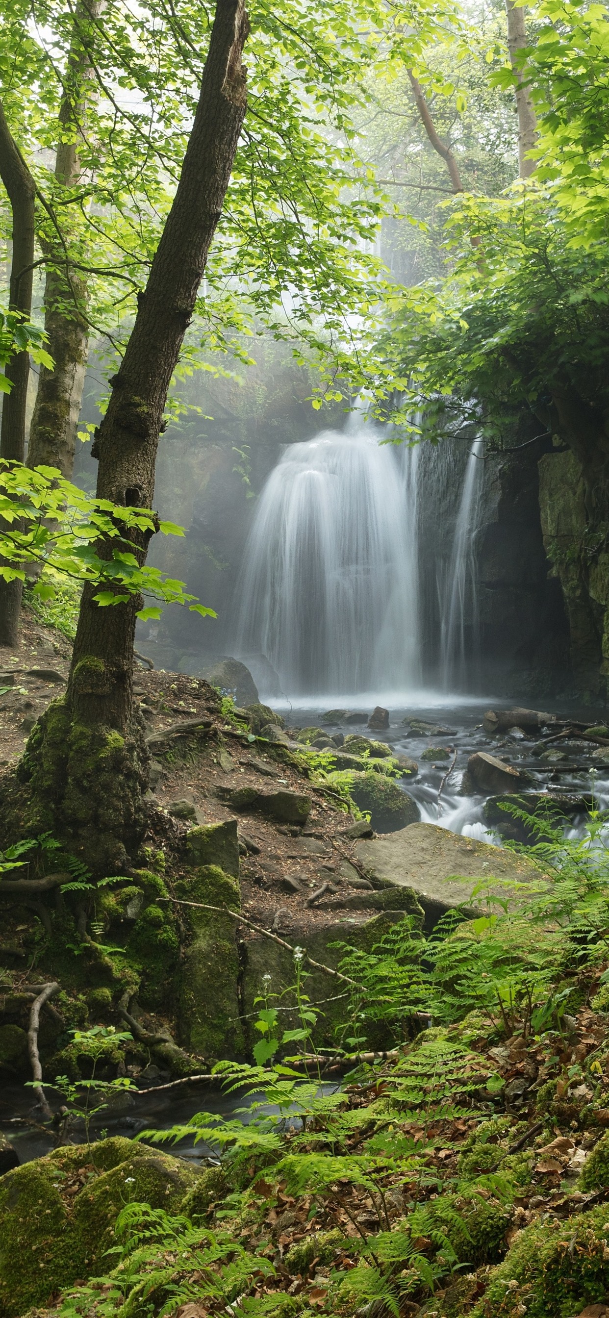 England, Derbyshire, Peak District, Waterfall, Forest 1242x2688 IPhone 11 Pro XS Max Wallpaper, Background, Picture, Image