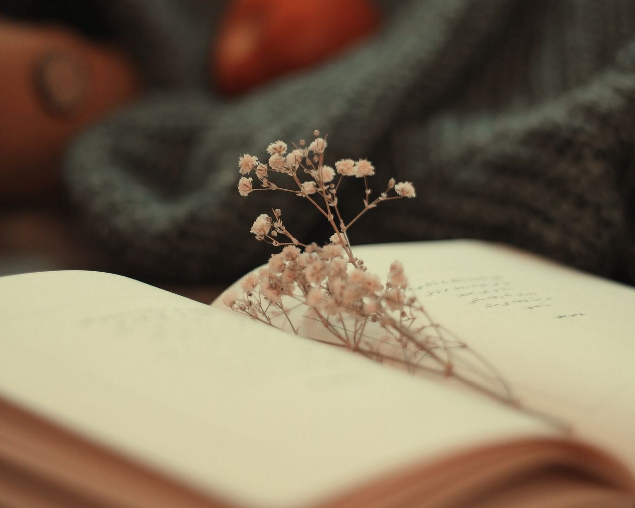 Download wallpaper 1280x1024 book, dried flowers, pages, flowers standard 5:4 HD background