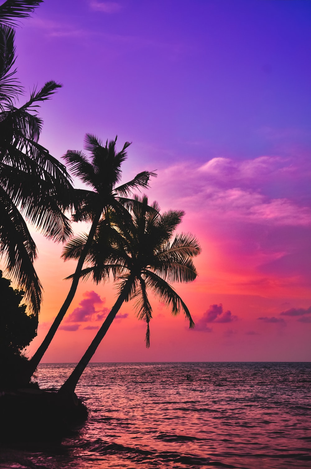 Stunning Tropical Sunset Picture [HD]. Download Free Image