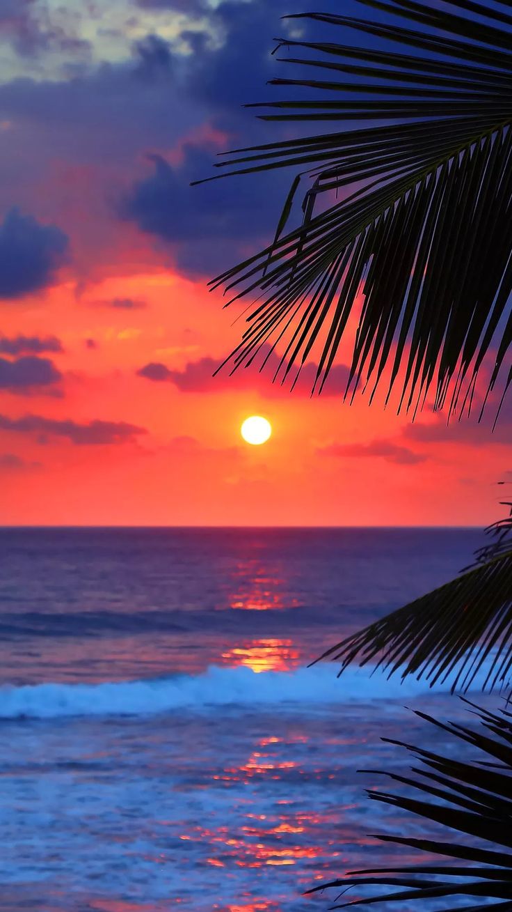 A Beautiful Sunset Scenery to look at the Beach