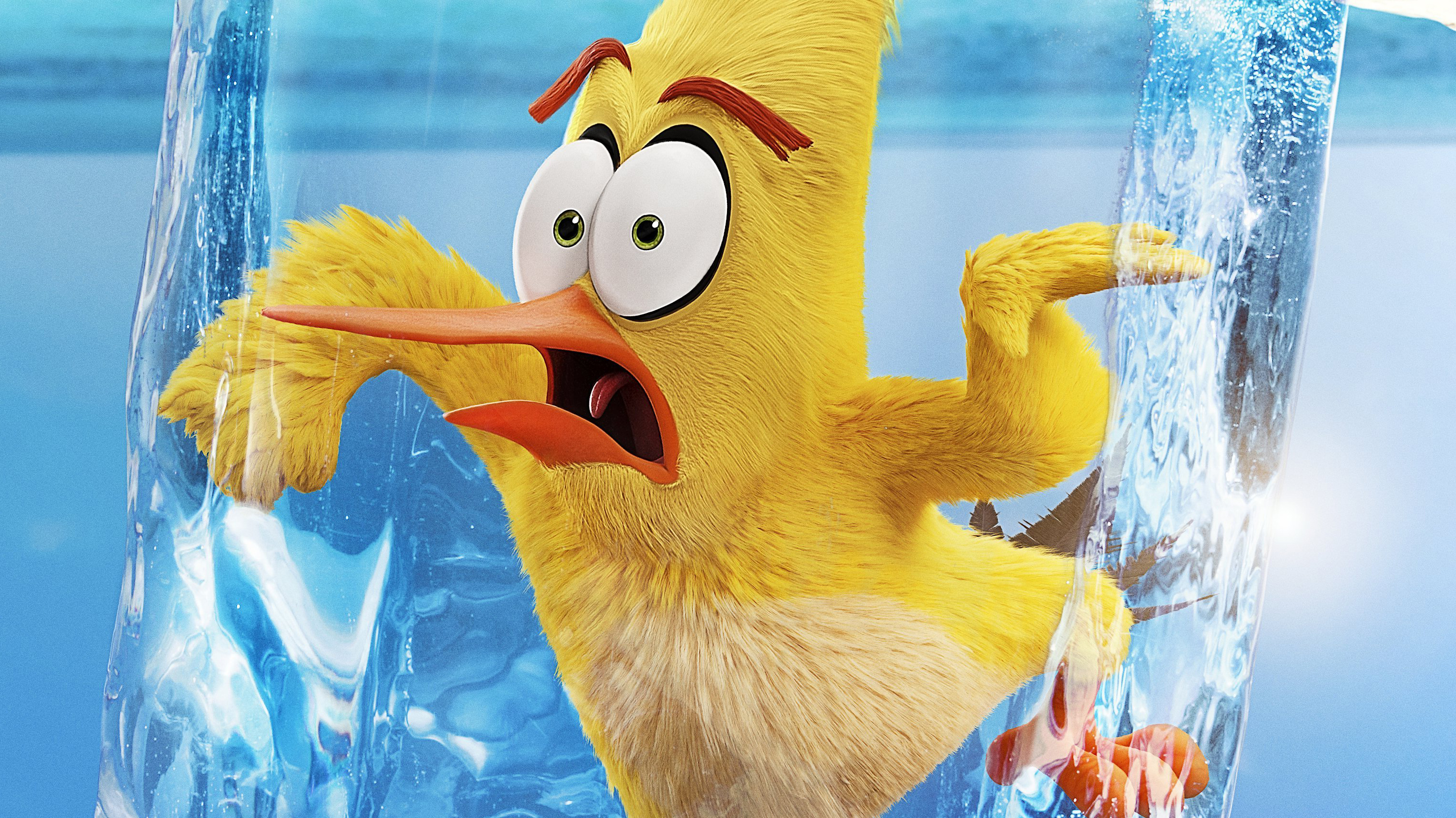 Yellow The Angry Birds Movie 2 2019 Laptop Full HD 1080P HD 4k Wallpaper, Image, Background, Photo and Picture