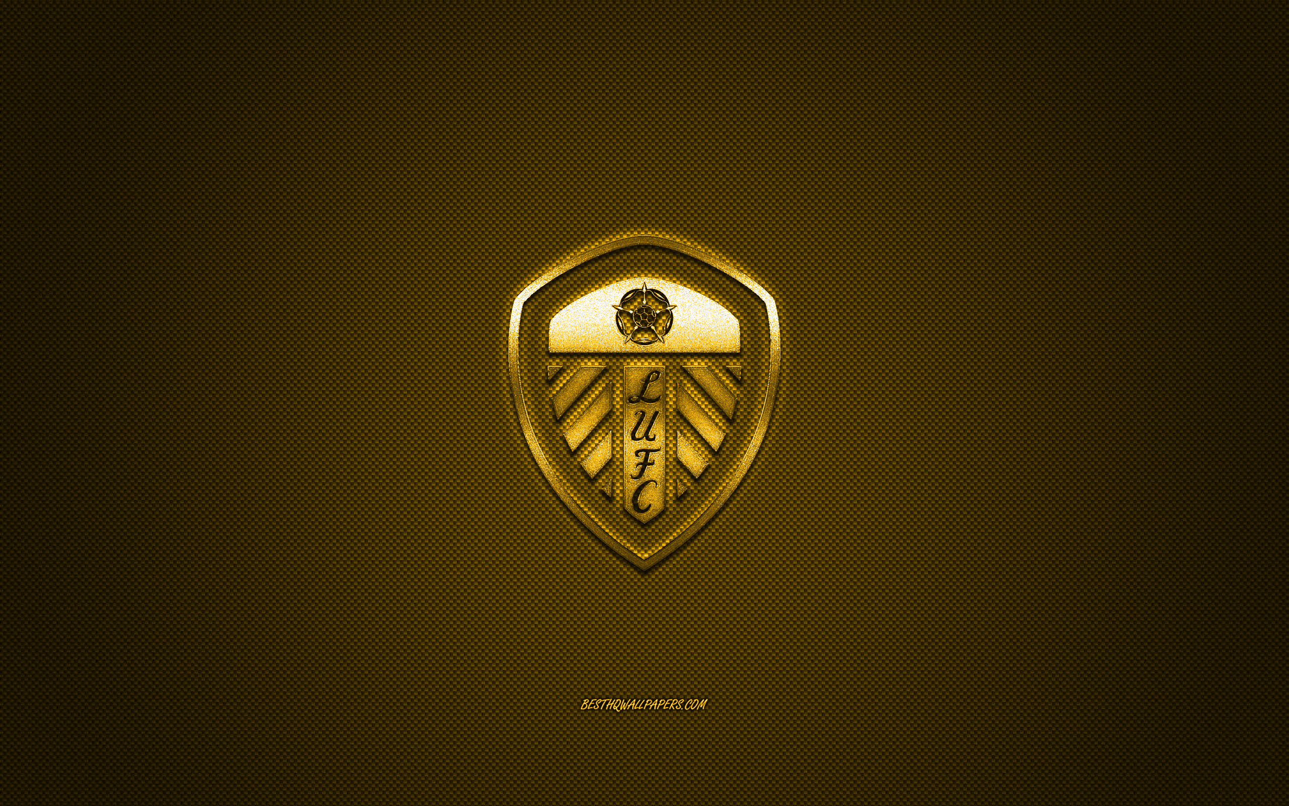 Download wallpaper Leeds United FC, English football club, EFL Championship, yellow logo, yellow carbon fiber background, football, Leeds, Leeds United FC logo for desktop with resolution 2560x1600. High Quality HD picture wallpaper