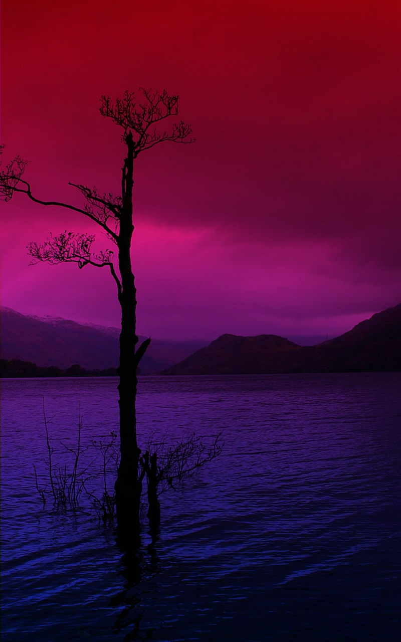 Free download Subtle bi wallpaper Album on Imgur [1080x2160] for your Desktop, Mobile & Tablet. Explore Bi Wallpaper. Bi Pride Wallpaper