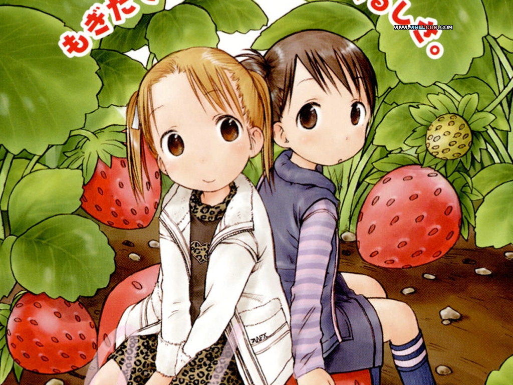 food fruit ichigo mashimaro itou chika matsuoka miu strawberry. konachan.com.com Anime Wallpaper