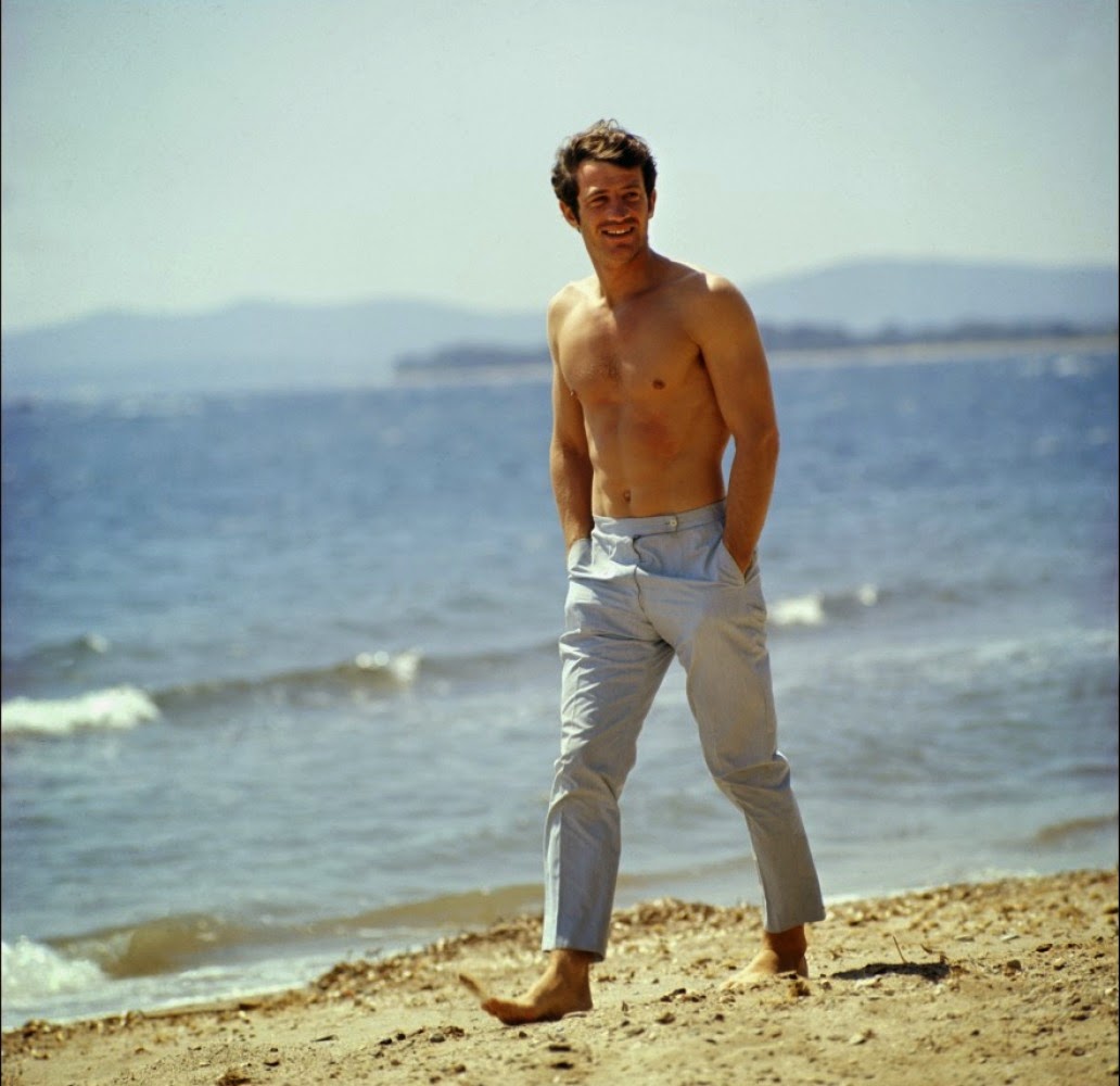 cranes are flying: Pierrot le Fou