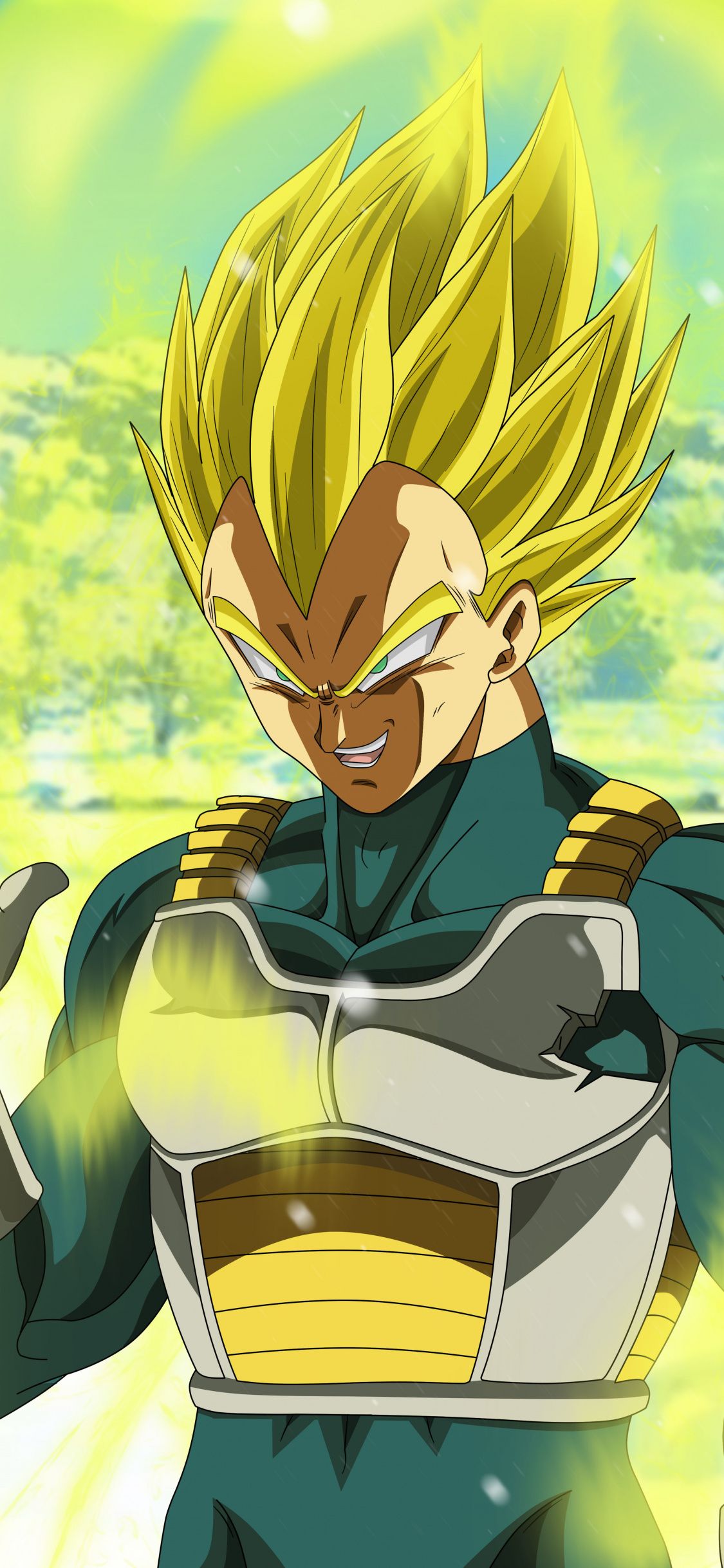Super Vegeta Wallpaper