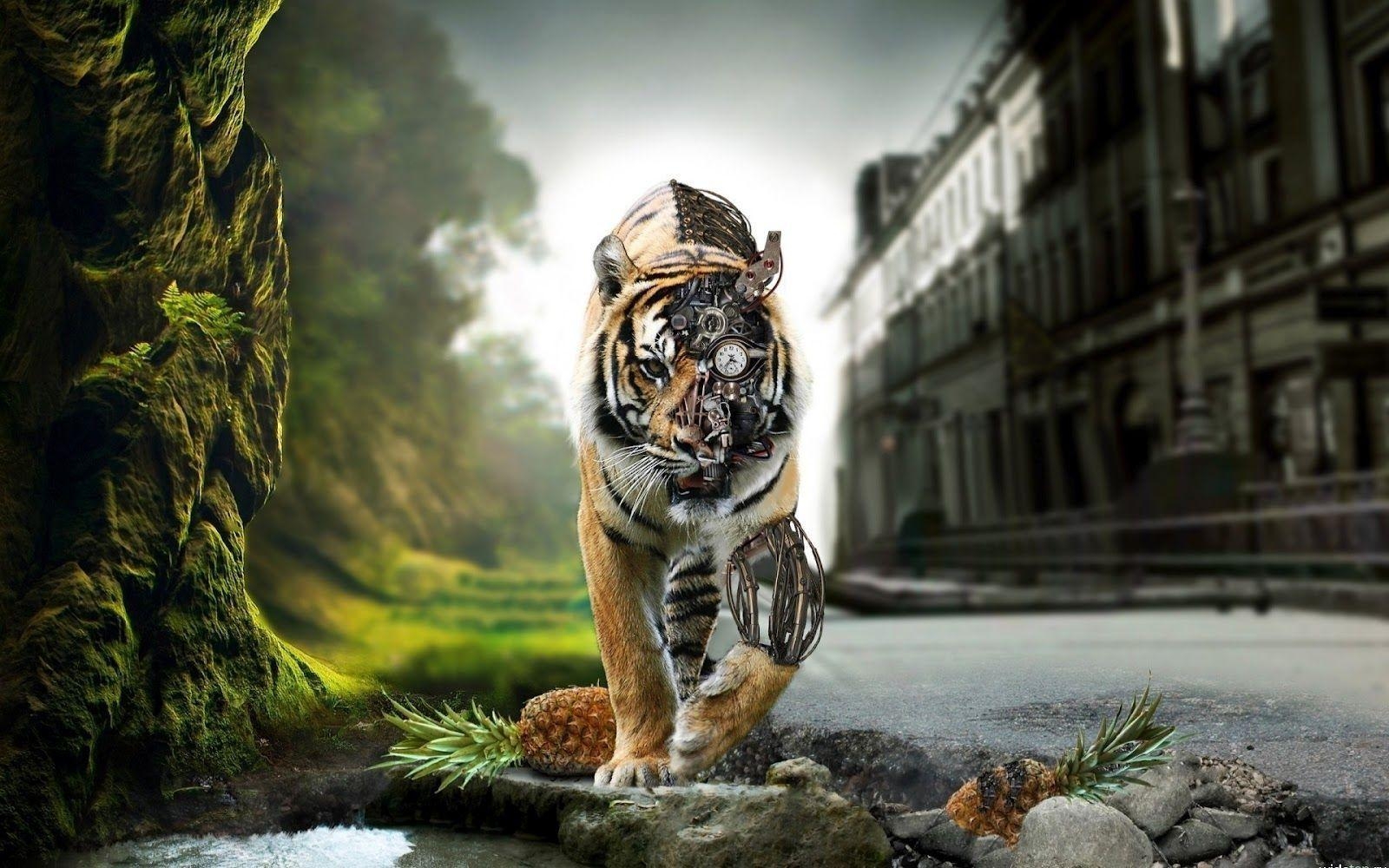 King of the Forest Tiger HD Desktop, Tablet, Mobile Wallpaper