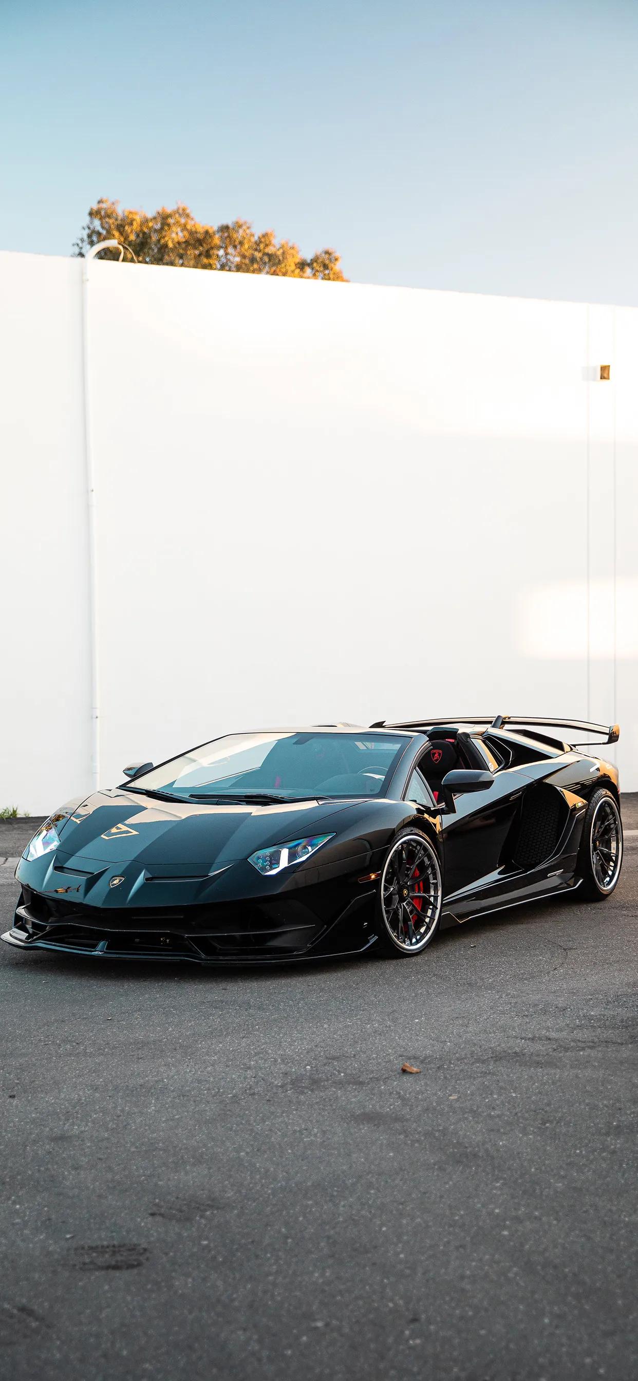 Unattainable dreams Lamborghini Bull SVJ HD wallpaper