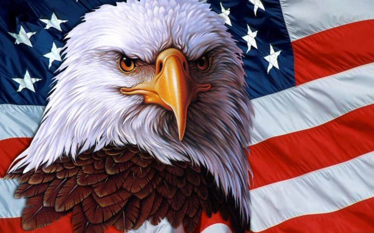 How the American Bald Eagle Became the Nation's Emblem