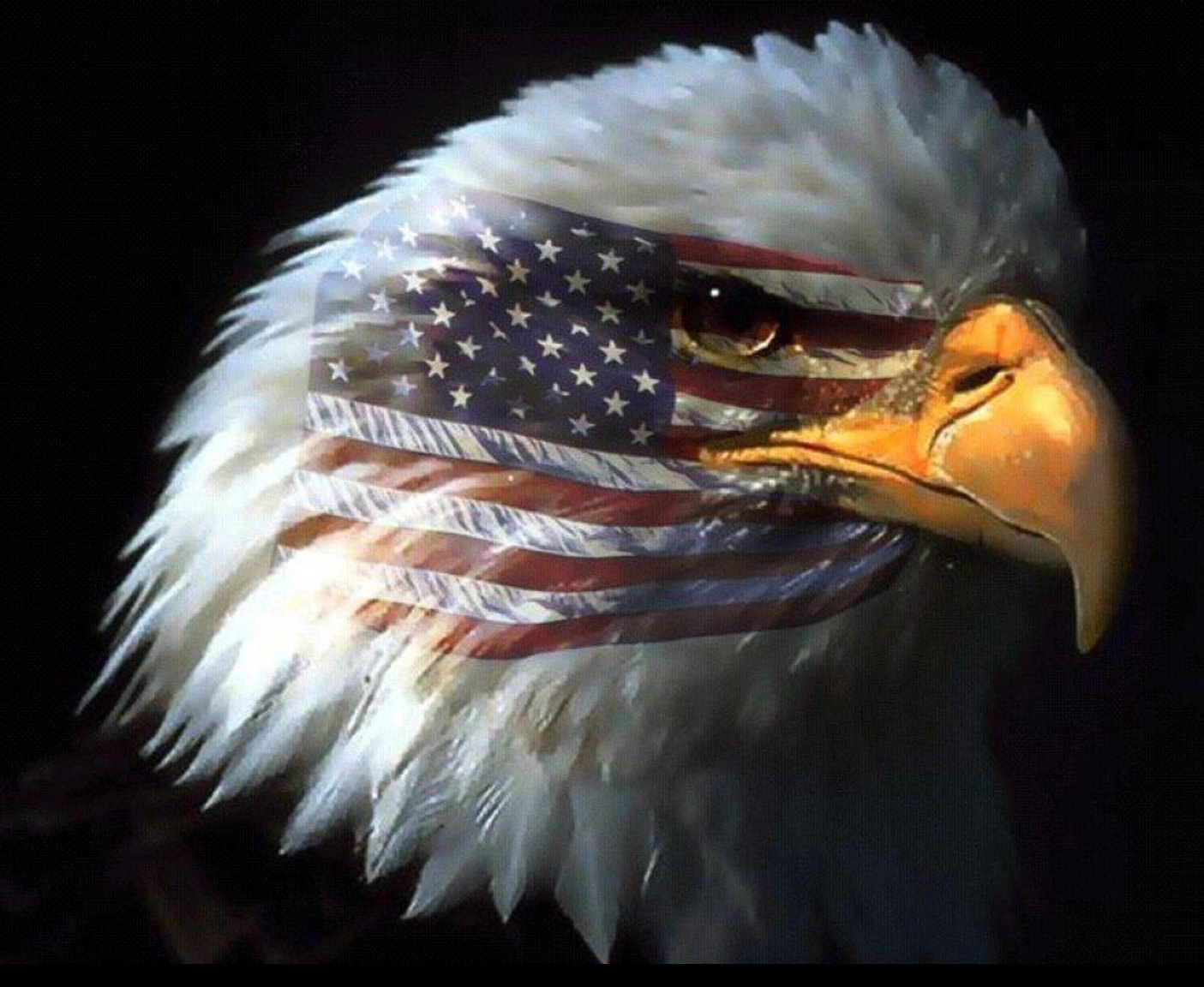 Free download eagle american flag wallpaper dowload eagle american flag wallpaper [1405x1152] for your Desktop, Mobile & Tablet. Explore American Flag Eagle Wallpaper. American Flag Wallpaper, Patriotic Eagle Wallpaper