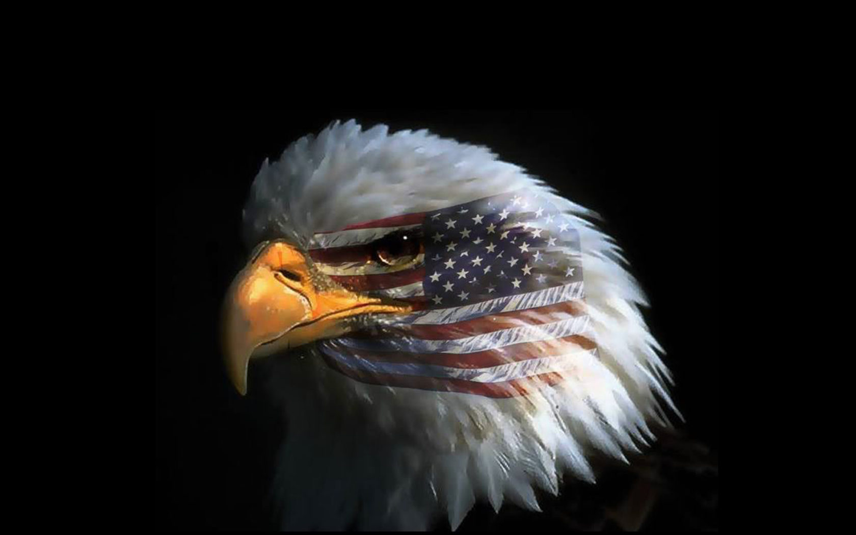 Eagle Eye American Flag Wallpaper HD Or Mobile Phone And Pc, Wallpaper13.com