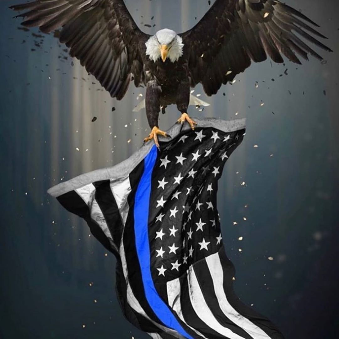 ProudPig on Instagram: “The American Police Officer Is Not The Enemy.”