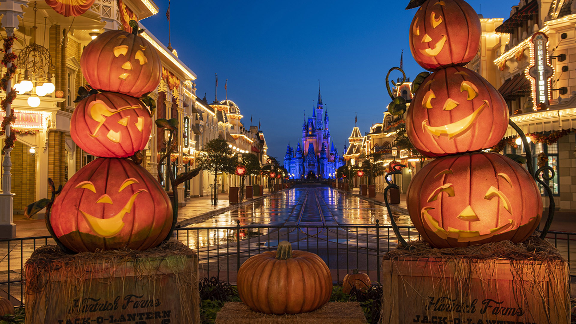 Mickey's Not So Scary Halloween Party Disney World