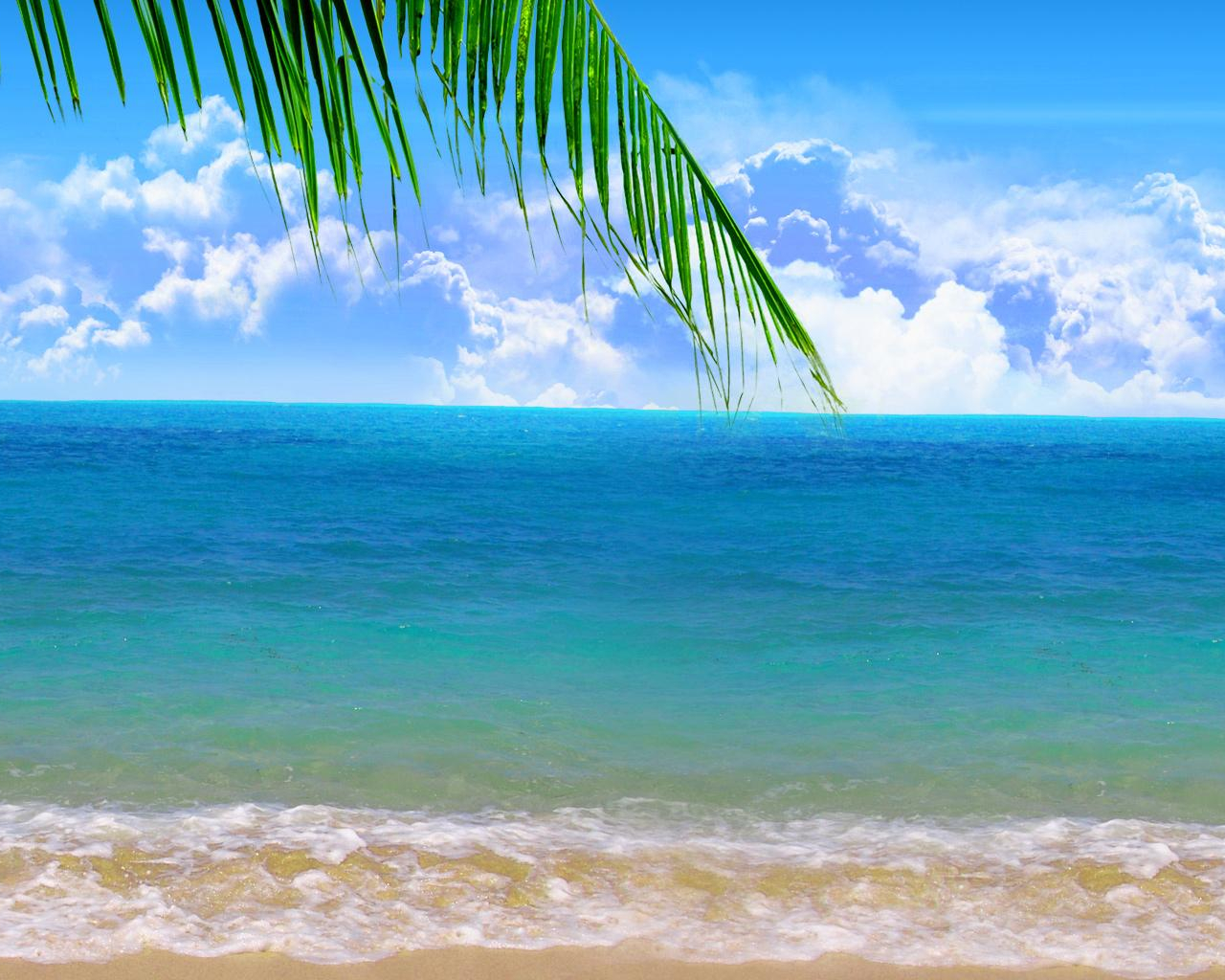 Free download Wallpaper Palm on paradise beach 2560 x 1024 Dual Monitor Desktop [2560x1024] for your Desktop, Mobile & Tablet. Explore Dual Screen Beach Wallpaper. Awesome Dual Monitor Widescreen