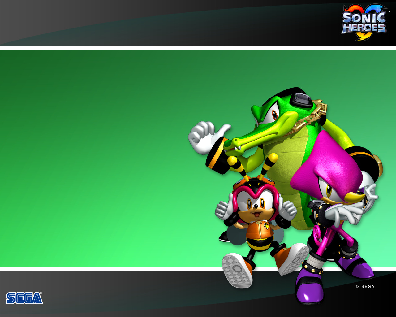 Team Chaotix Wallpapers - Wallpaper Cave