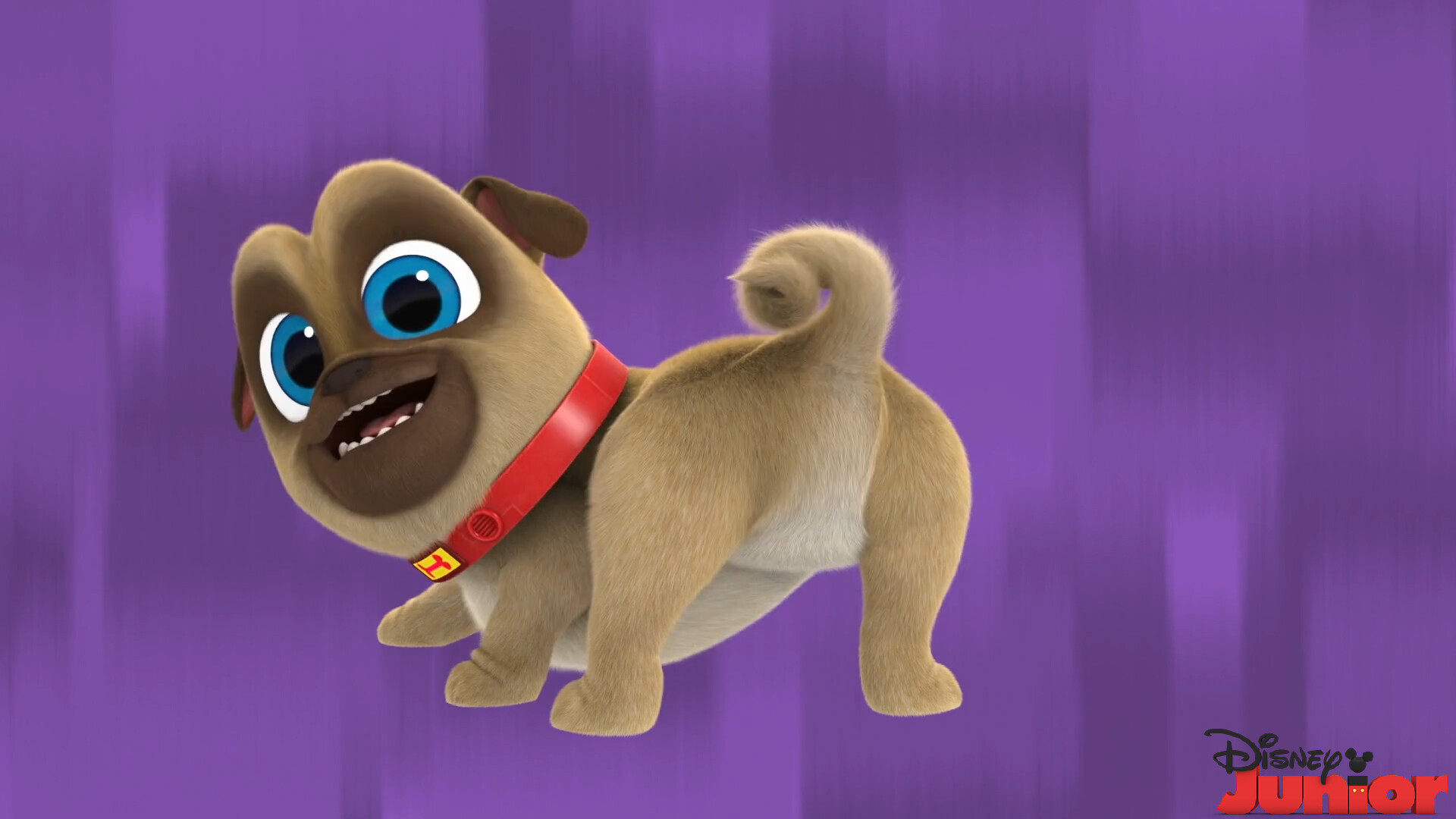 Rolly's Puppy Dog Pals