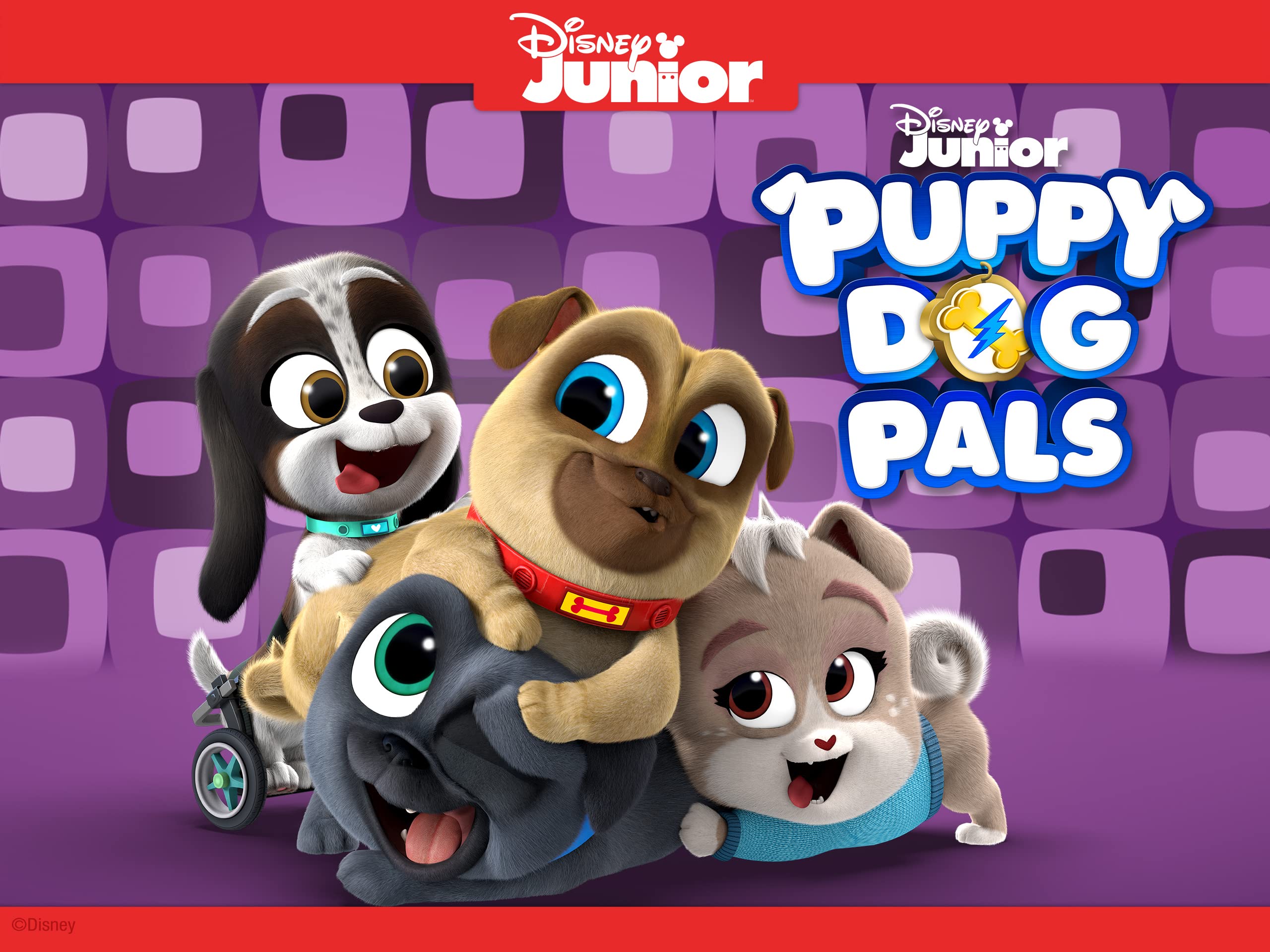 Watch Disney Junior Puppy Dog Pals