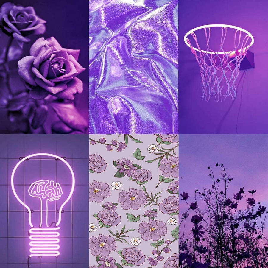 Download Aesthetic Purple Rose Collage Wallpaper