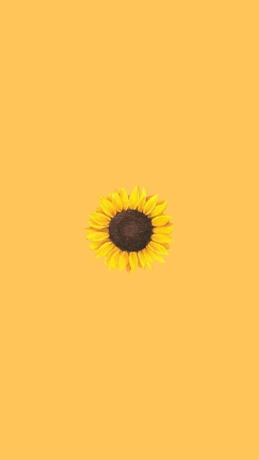 iPhone Aesthetic Sunflower Wallpaper