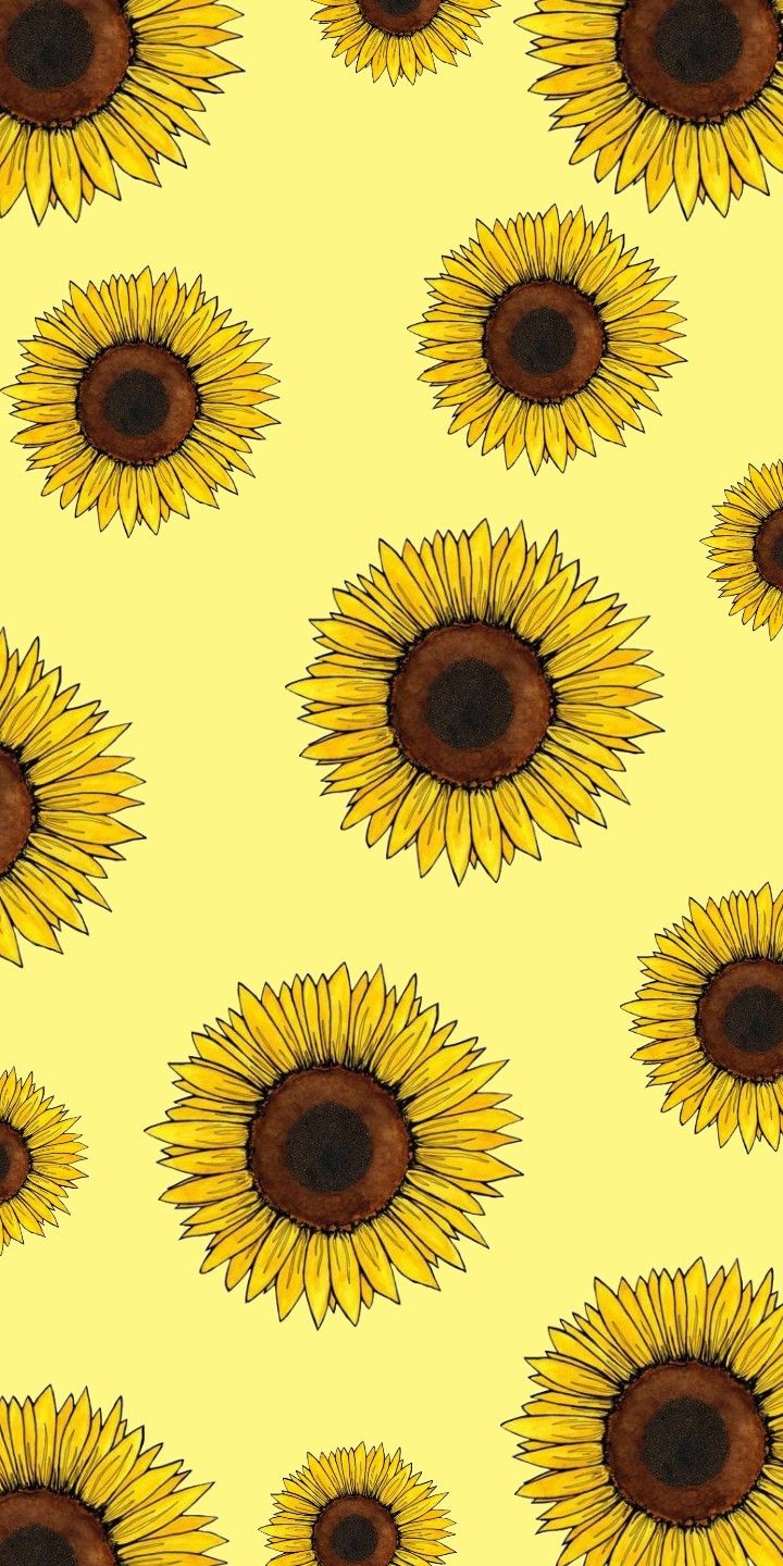 Sunflower wallpaper. Sunflower wallpaper, Sunflower iphone wallpaper, Flower phone wallpaper