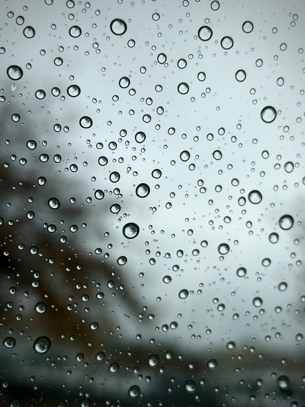 Raindrop Picture [HD]. Download Free Image