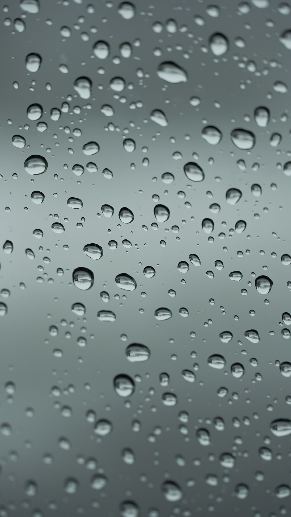 Raindrops Picture. Download Free Image