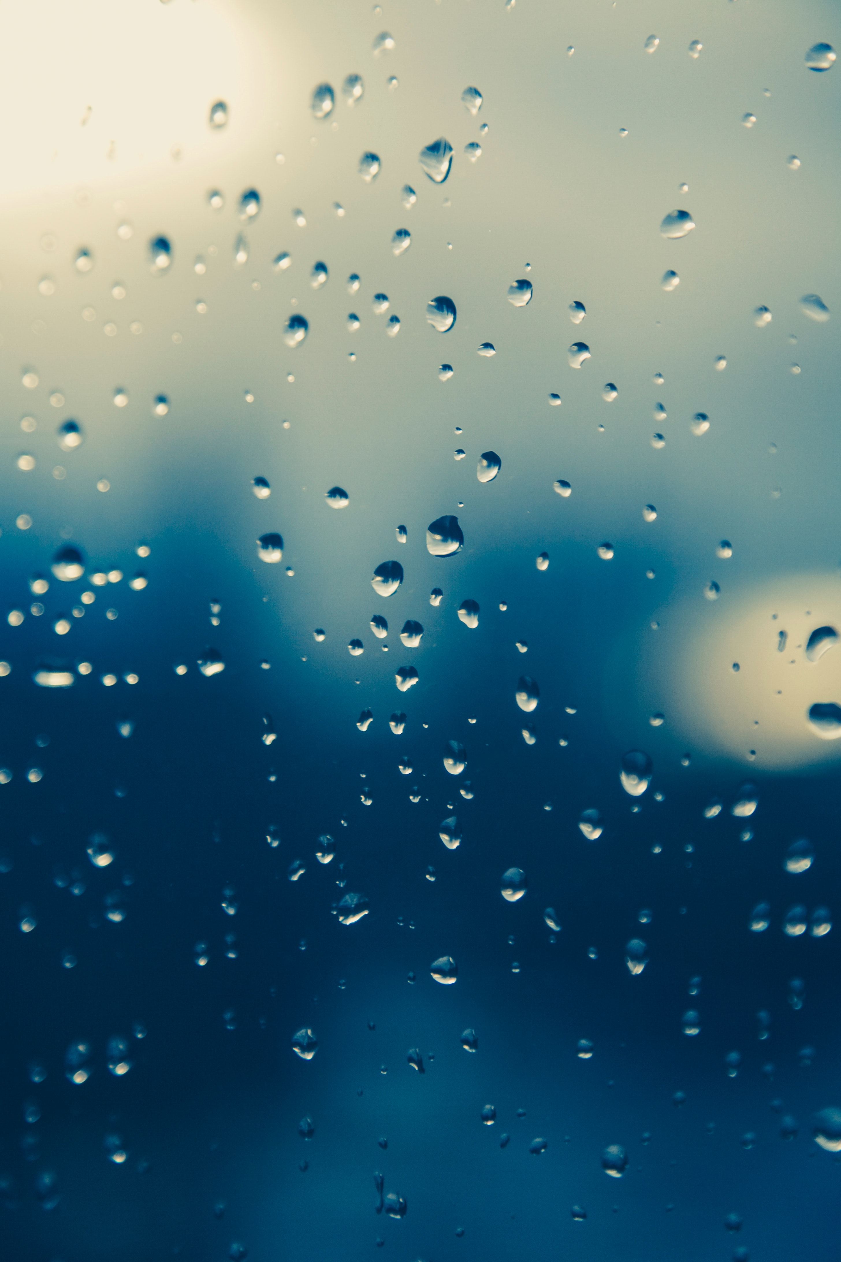 Best Free Raindrops & Image · 100% Royalty Free HD Downloads