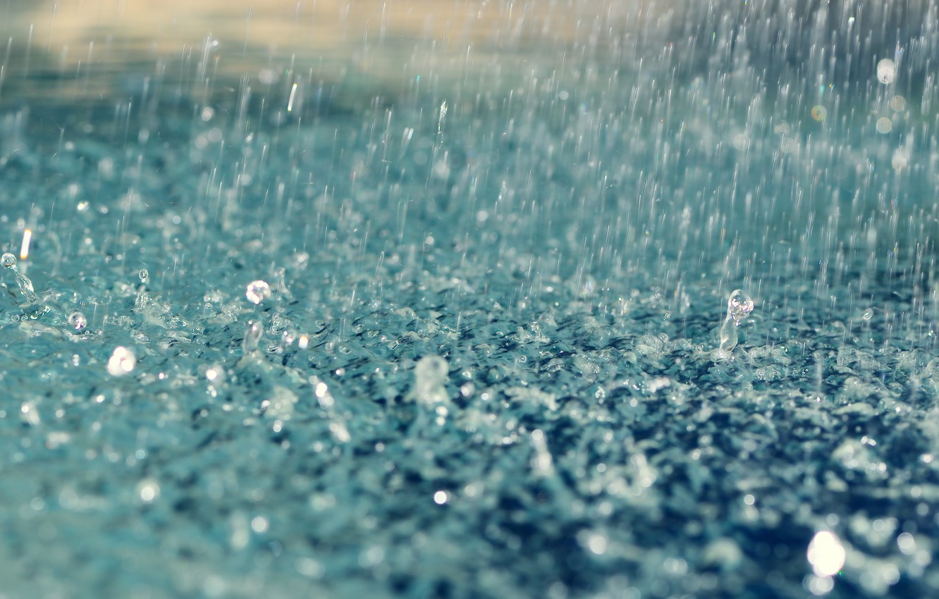 Wallpaper drops, rain, rain, drops image for desktop, section макро