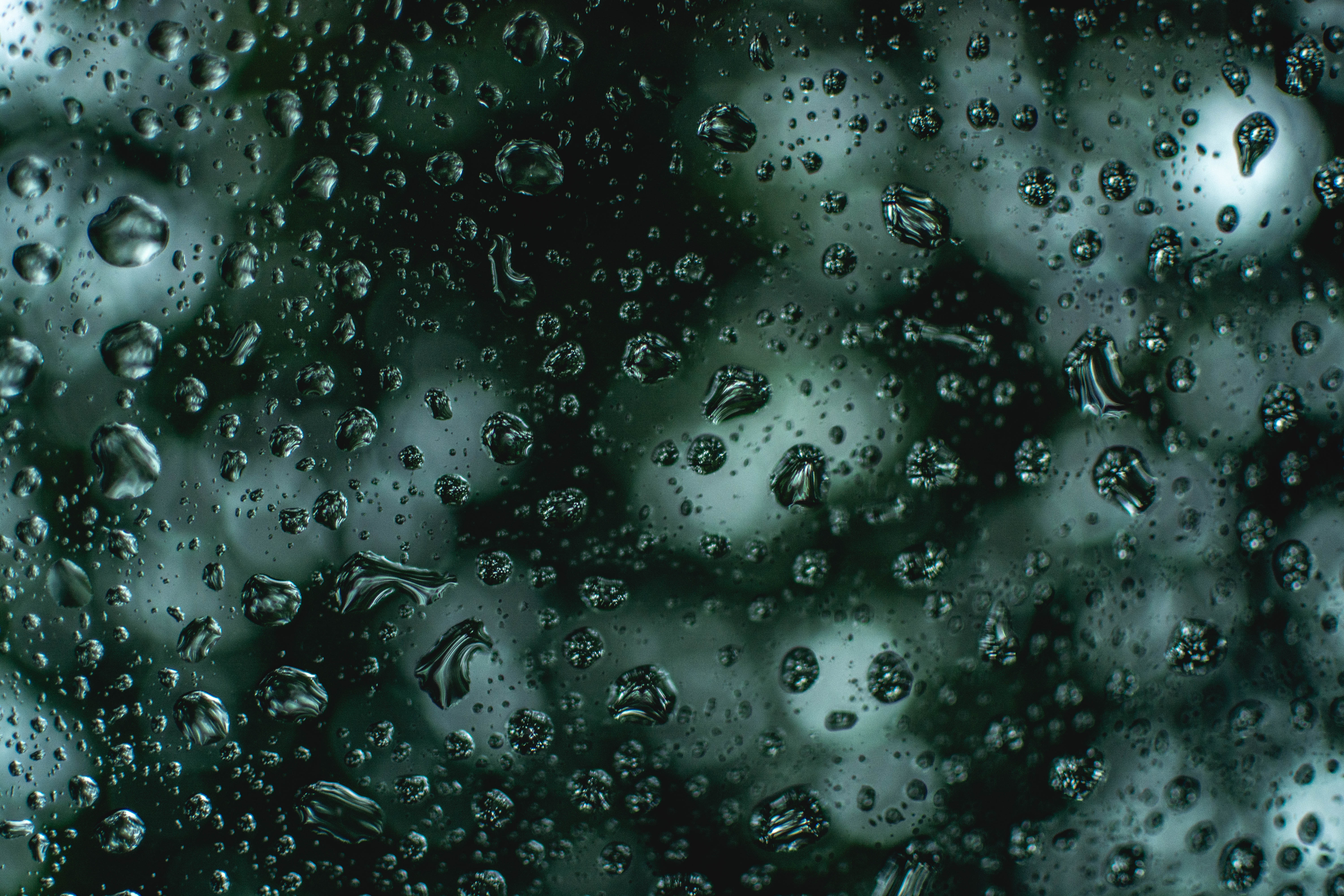 Best Free Rain Drops & Image · 100% Royalty Free HD Downloads