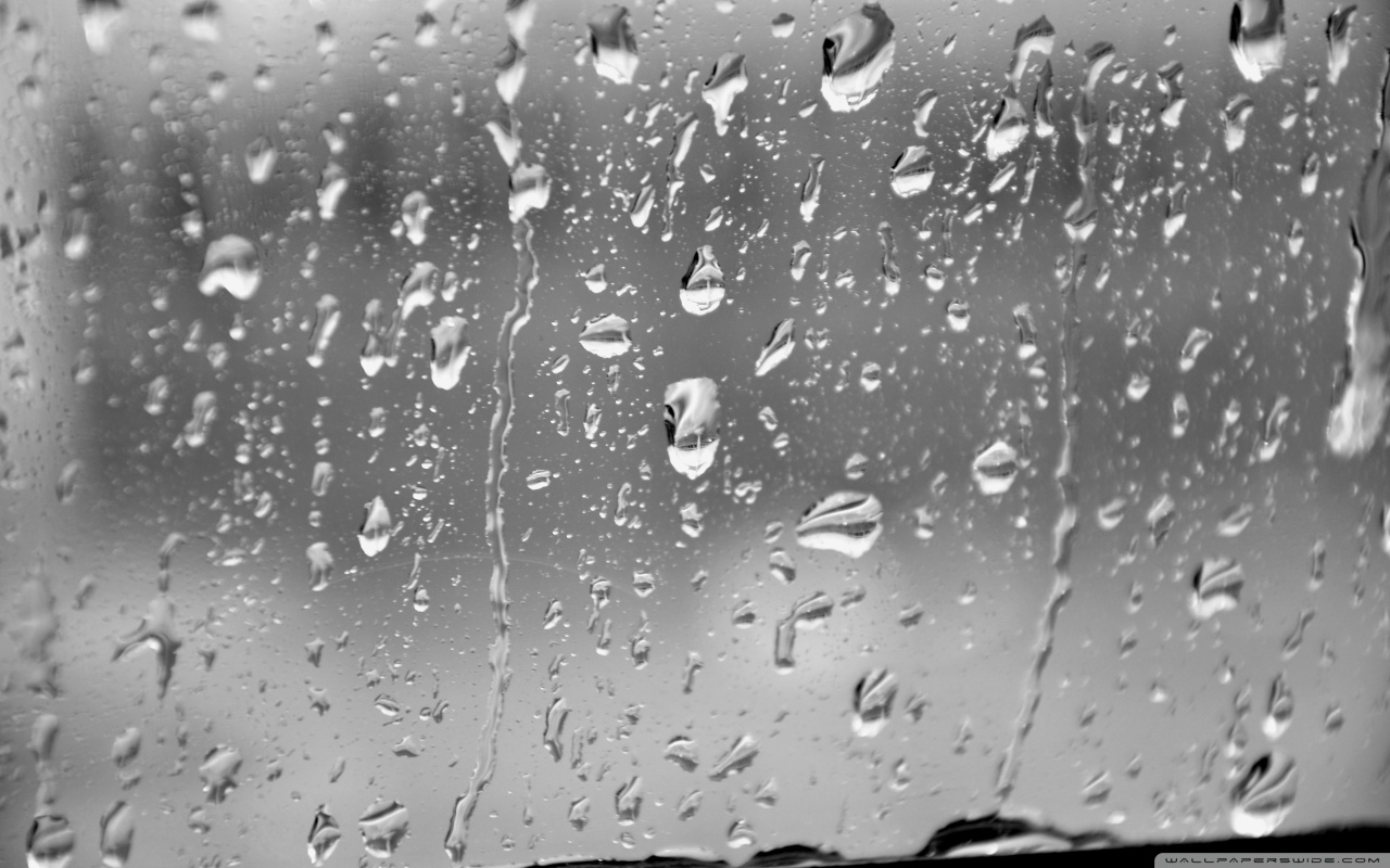 Rain Drops Wallpaper