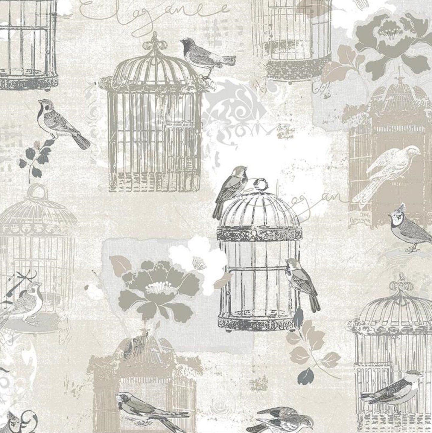 Birdcage Wallpapers - Wallpaper Cave