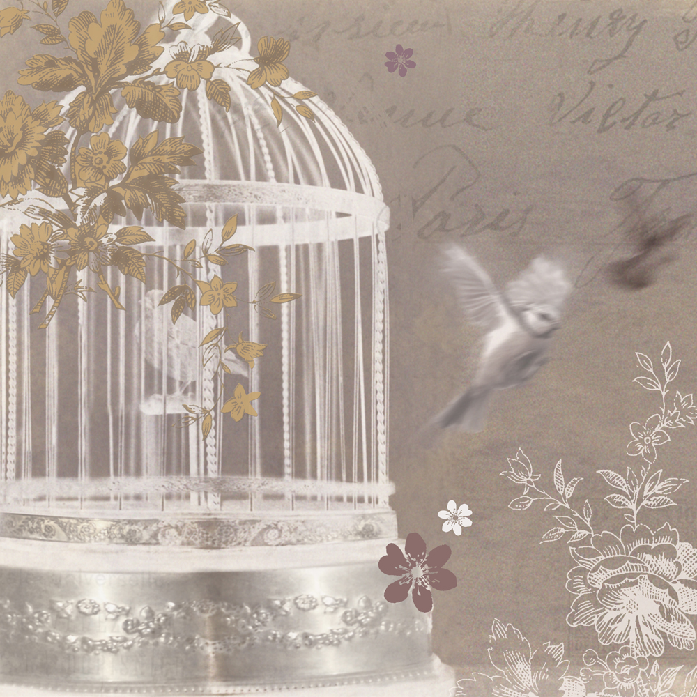 Birdcage Background Images, HD Pictures and Wallpaper For Free Download |  Pngtree