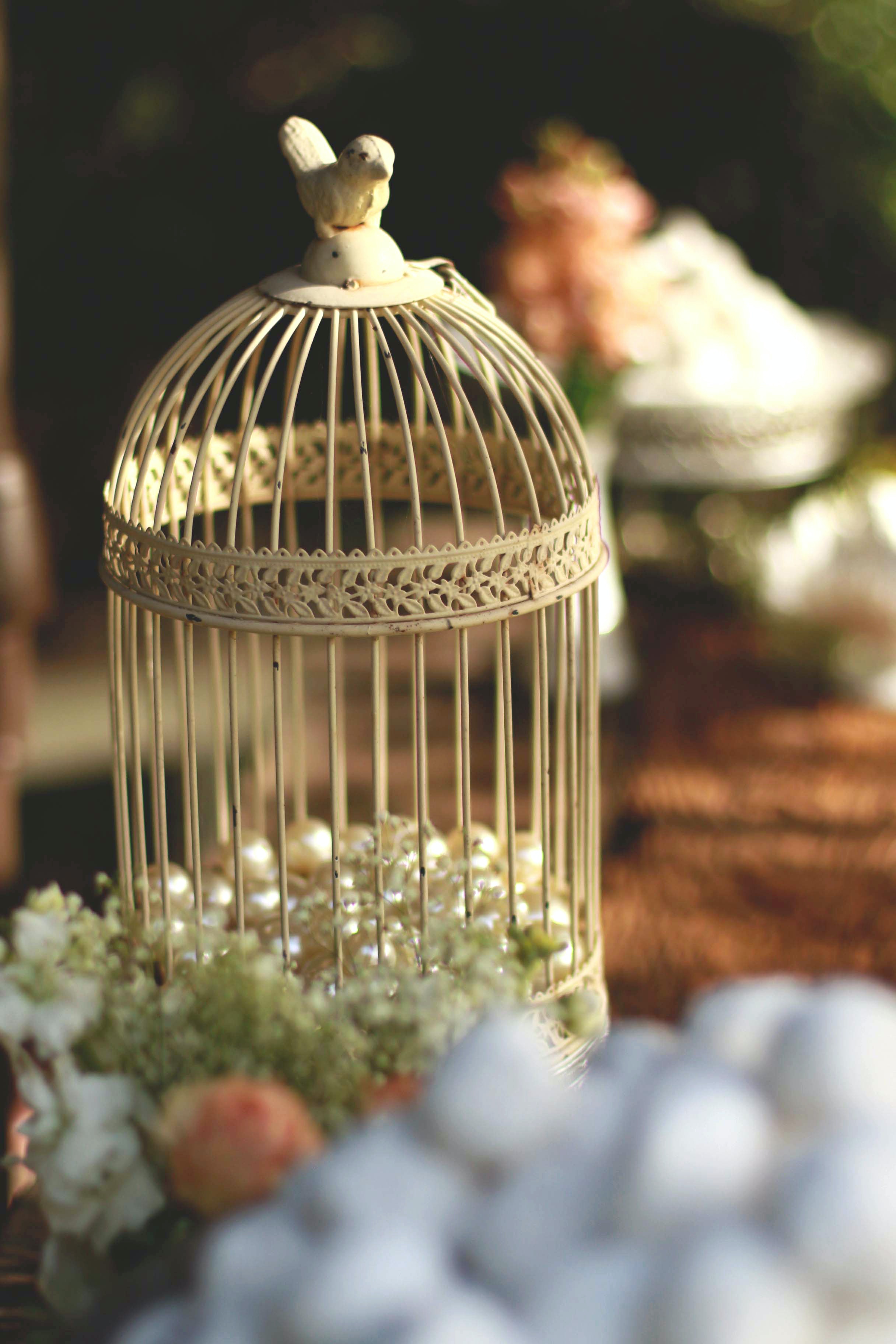 Birdcage Wallpapers - Wallpaper Cave