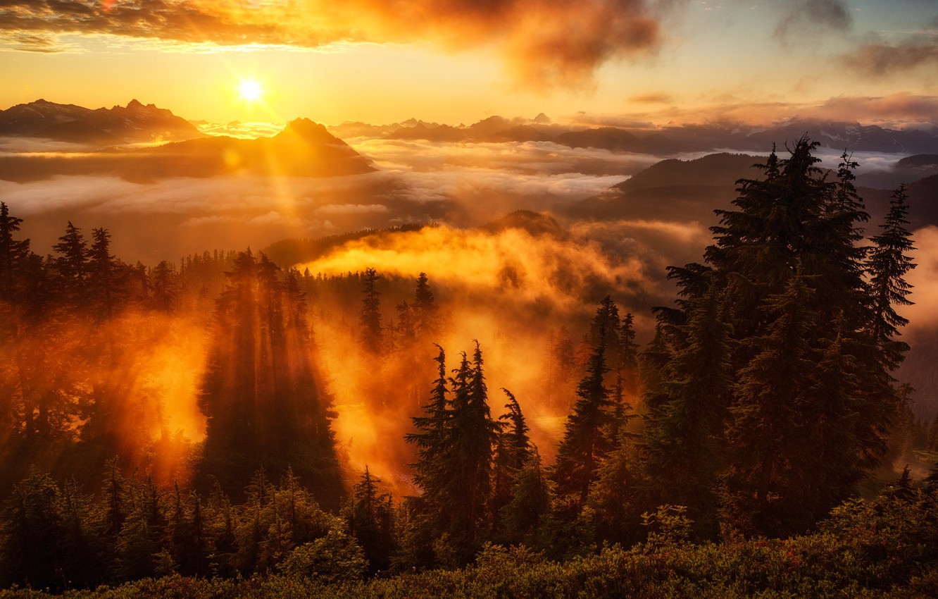 Wallpaper forest, sky, sunset, sun, Washington, lookout, Evergreen Mountain image for desktop, section природа