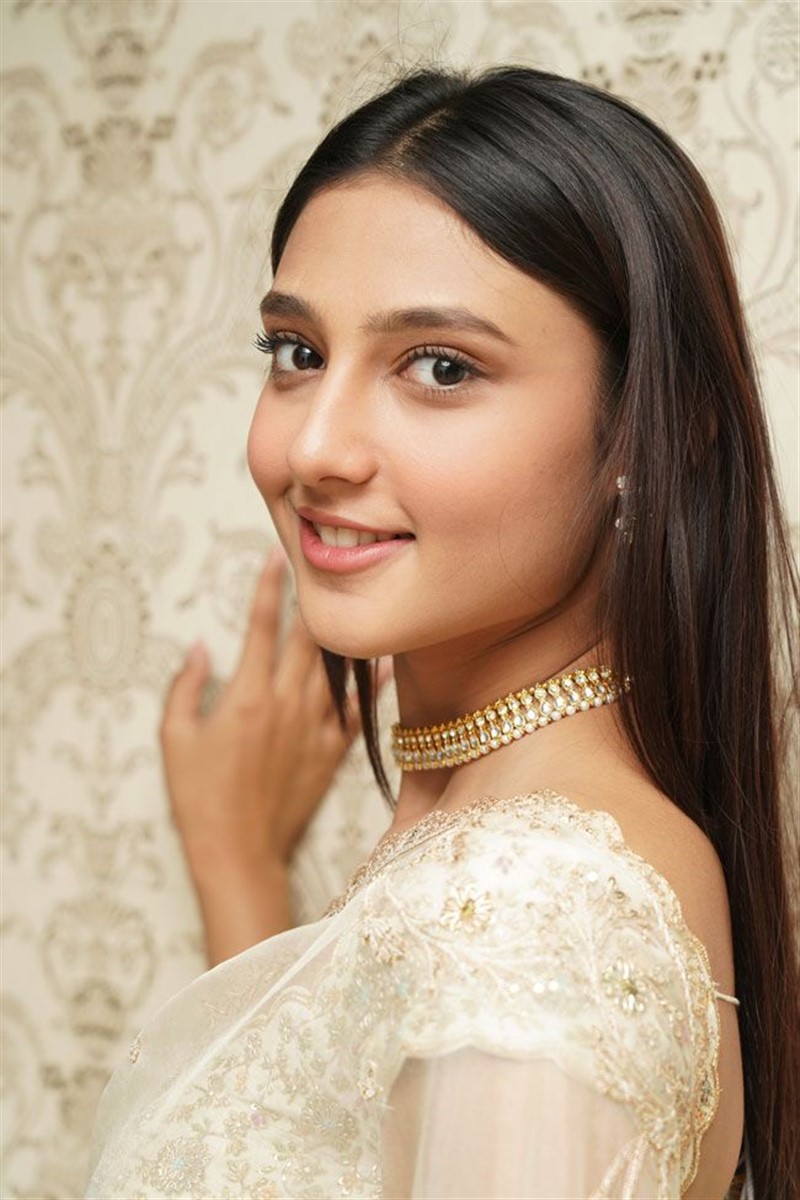 Actress Ritika Nayak Saree Pics Ashoka Vanamlo Arjuna Kalyanam Success Meet