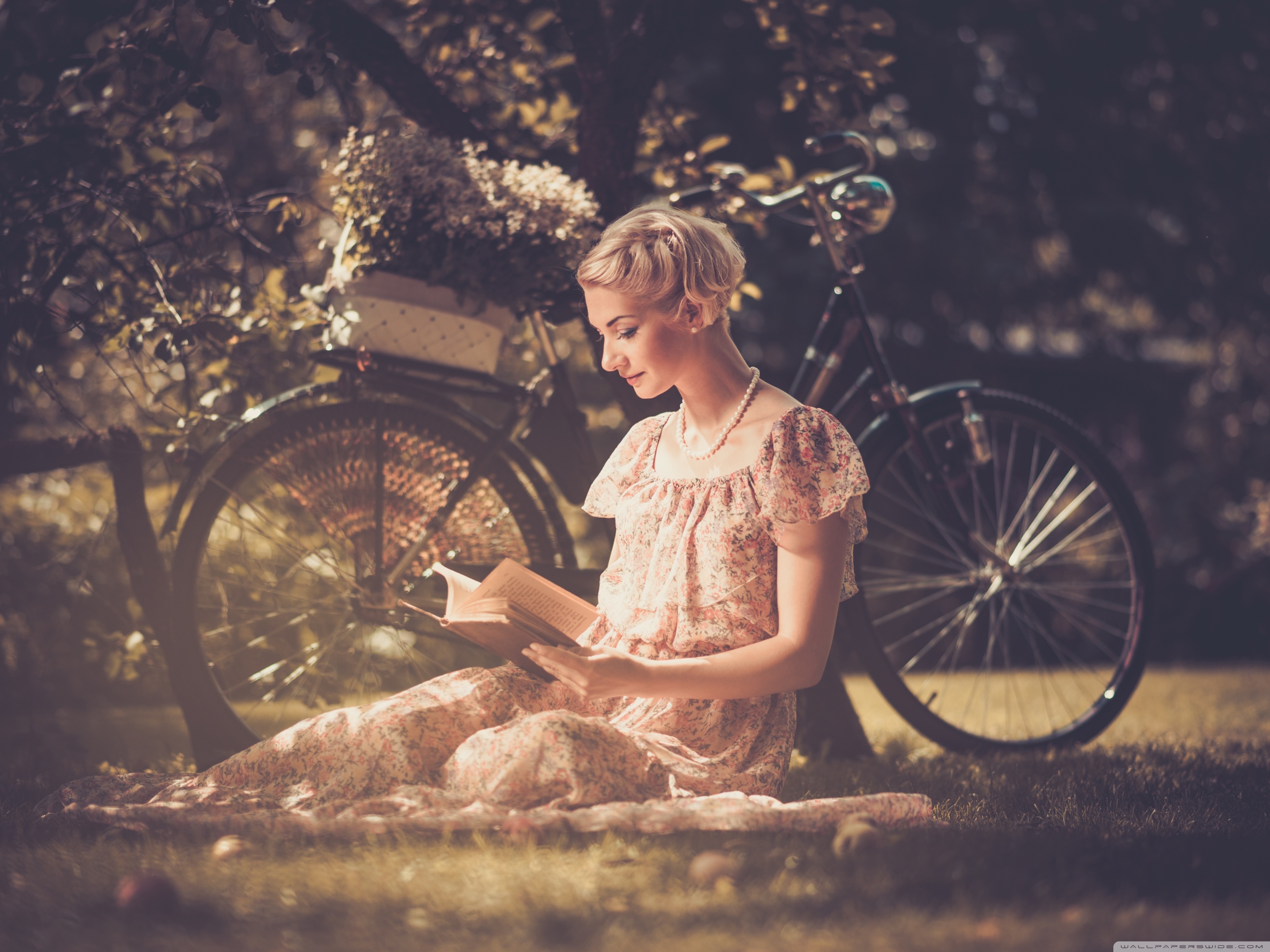 Reading Books Ultra HD Desktop Background Wallpaper for 4K UHD TV, Widescreen & UltraWide Desktop & Laptop, Multi Display, Dual Monitor, Tablet