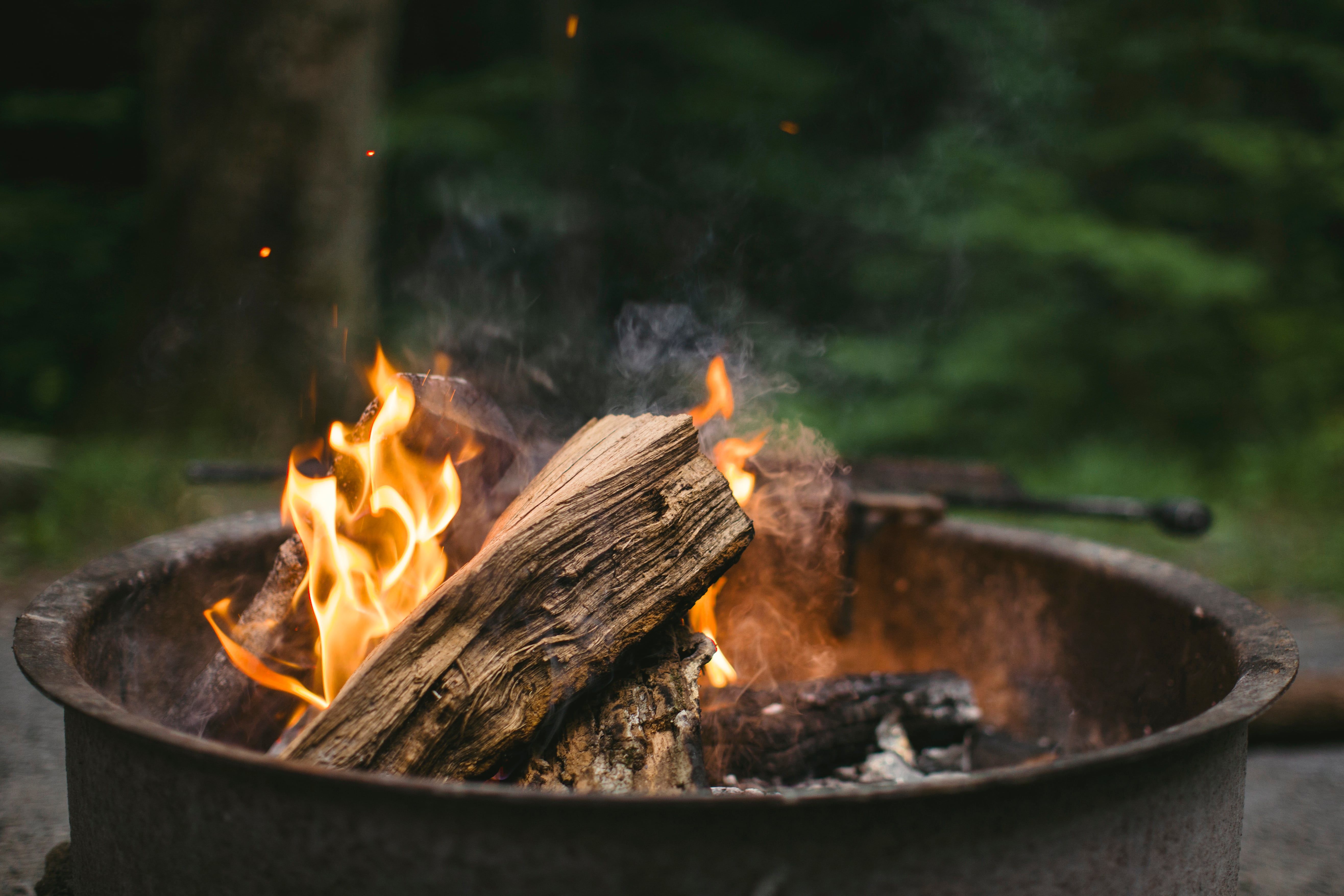 A Guide to South Africa's Braai Culture