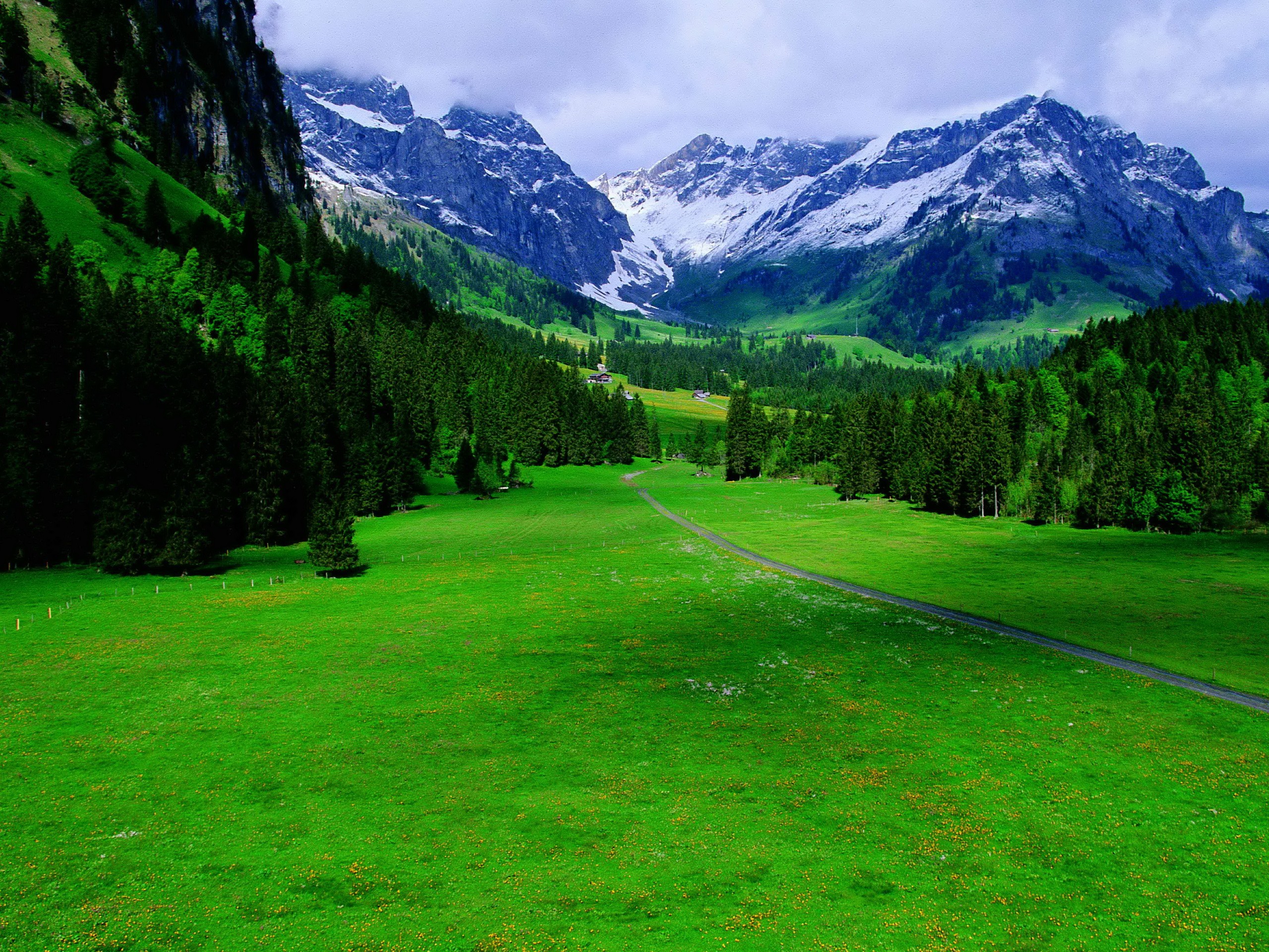 Green landscapes Switzerland wallpaperx1920