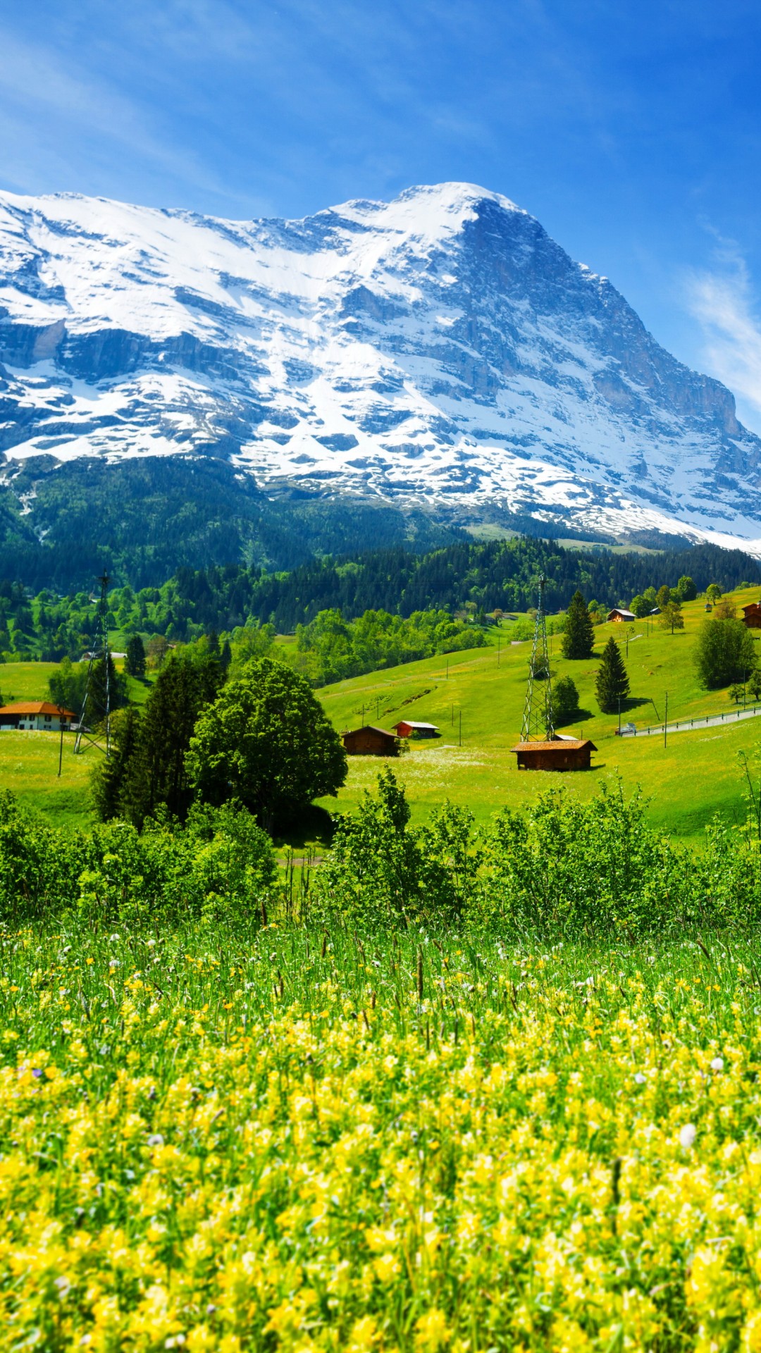 Wallpaper Switzerland, 5k, 4k wallpaper, mountains, meadows, wildflowers, Nature